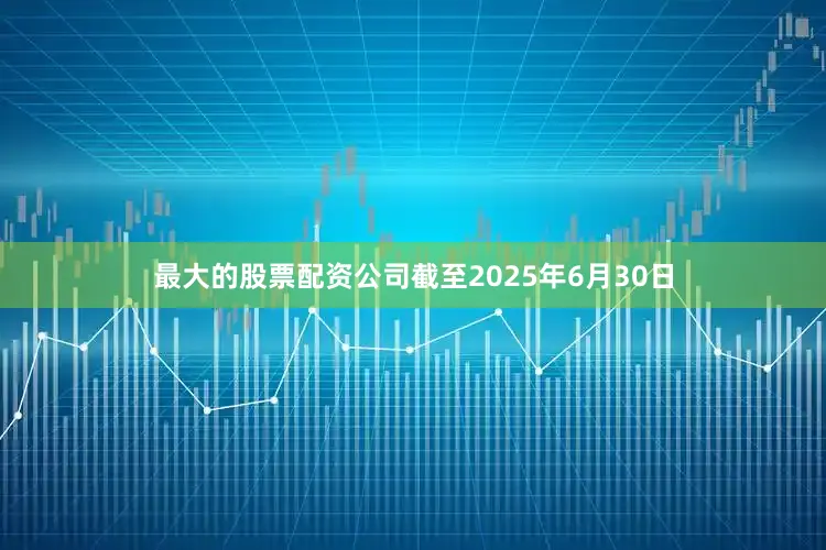最大的股票配资公司截至2025年6月30日